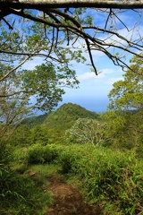 IMG_9549.jpg