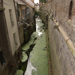 Amiens