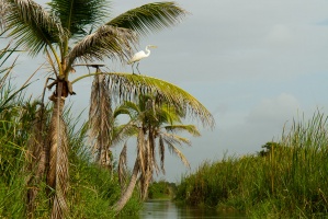 IMG_2280.jpg