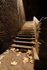 IMG_4180.jpg
