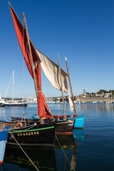 IMG_4050.jpg