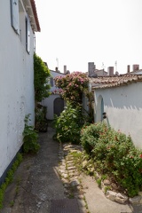 IMG_3185.jpg