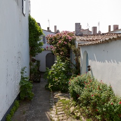 Île de Ré 2012