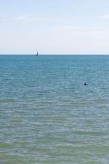 IMG_3227.jpg