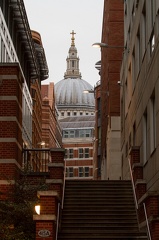IMG_6366.jpg