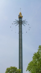 IMG_8892.jpg