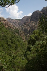 IMG_0036.jpg