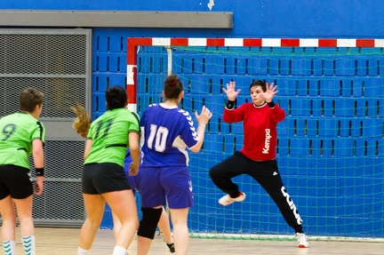 2014-01-25_Ploudiry_04.jpg