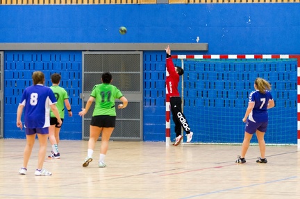 2014-01-25_Ploudiry_19.jpg