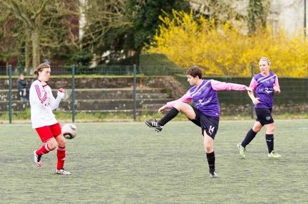 2016-04-03_Chateaubourg_45.jpg